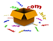 Domain Registration
